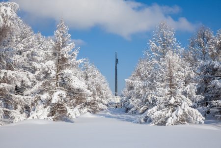 Татьянин день отметят в музее  