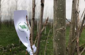 В Северной Осетии вырастут сады памяти