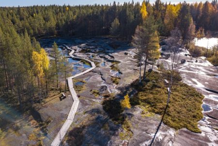 К петроглифам расчистят дорогу