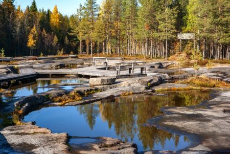 К Беломорским петроглифам расчистили дорогу