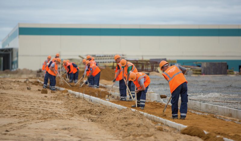 Студенческие отряды принимают поздравления
