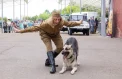«Один день с полицией» пройдет у Музея Победы