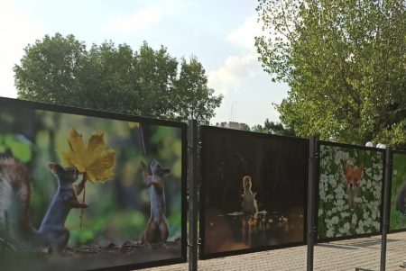 В Луганске открылась уличная фотовыставка