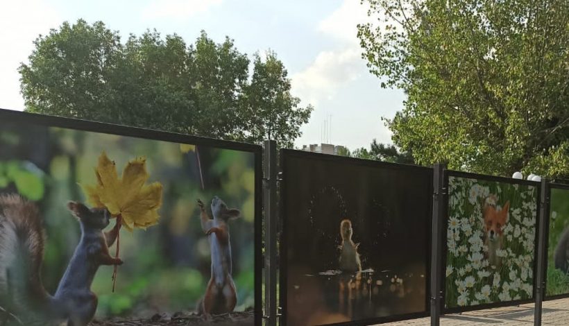 В Луганске открылась уличная фотовыставка