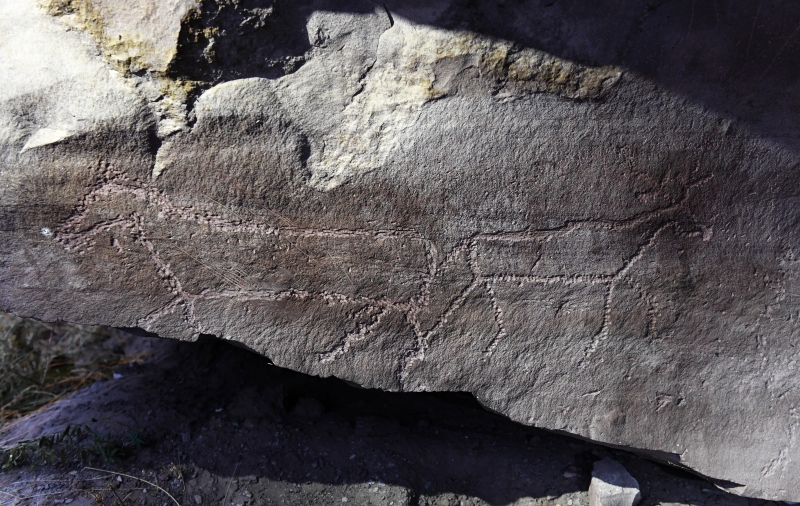 Археологи изучат петроглифы досконально