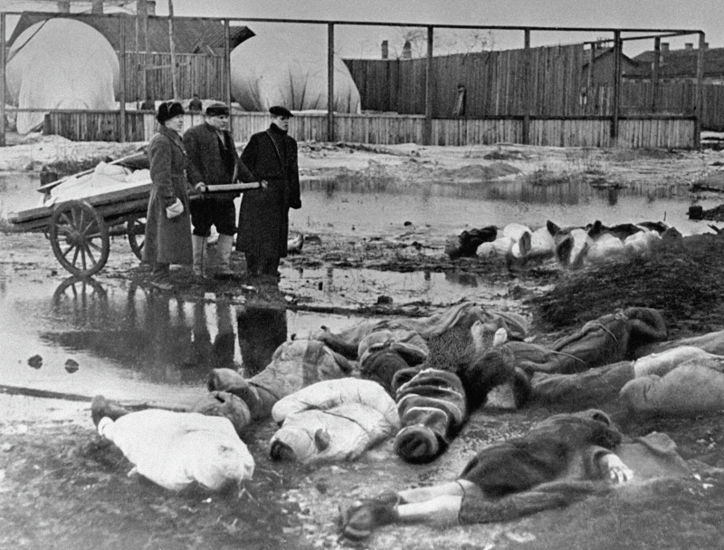 Блокаду Ленинграда признают геноцидом