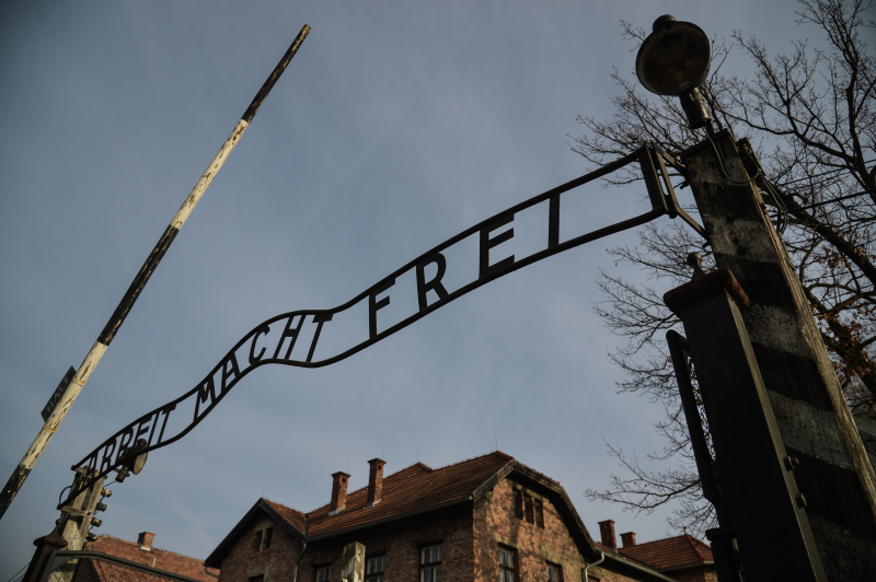 Музей представил онлайн-проект об Освенциме