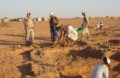 Крымские археологи изучают африканское побережье