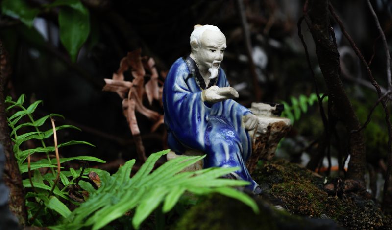 Образование развернется на восток