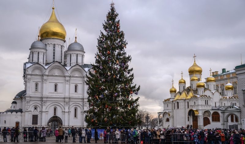 Шишки кремлевской елки