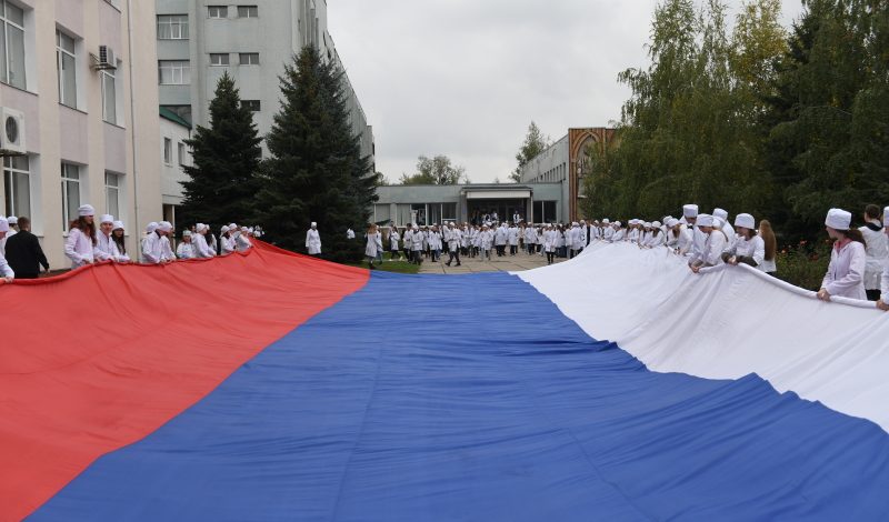 Новые регионы интегрируют в образовательную сферу России