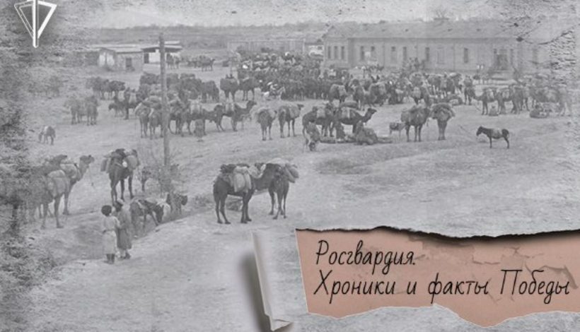 Басмачество и Росгвардия