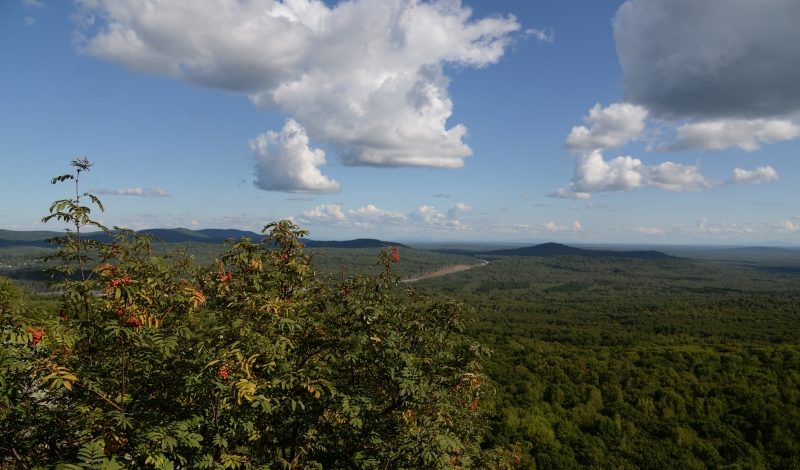 Добровольцы исследуют заповедное Приамурье