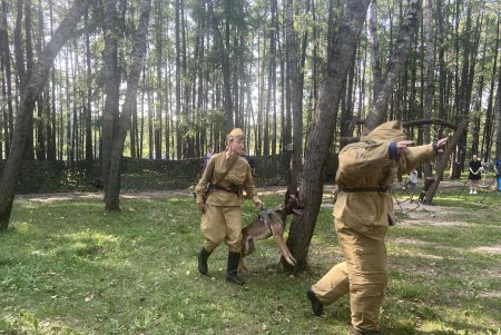 Четвероногие защитники показали мастер-класс