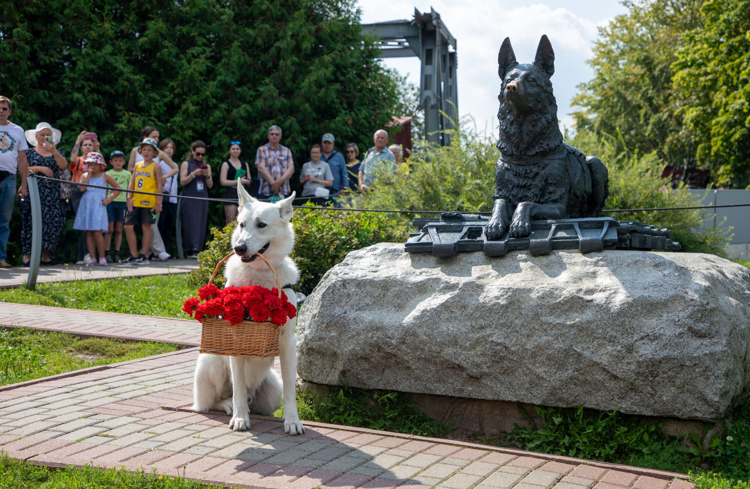 Тысячи москвичей и гостей столицы отметили День фронтовой собаки в Музее
