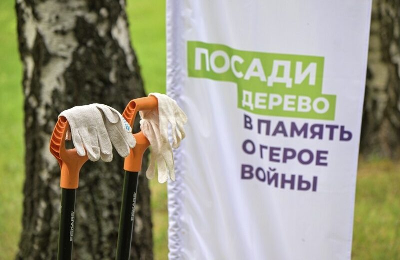 В Кузбассе высадили миллион деревьев