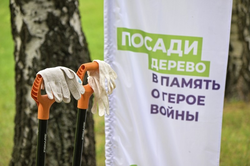 Сбережение памяти поможет экологии