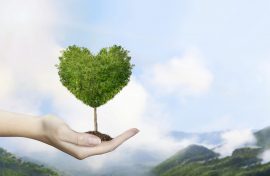 Авторов экопросветительских проектов ждет конкурс