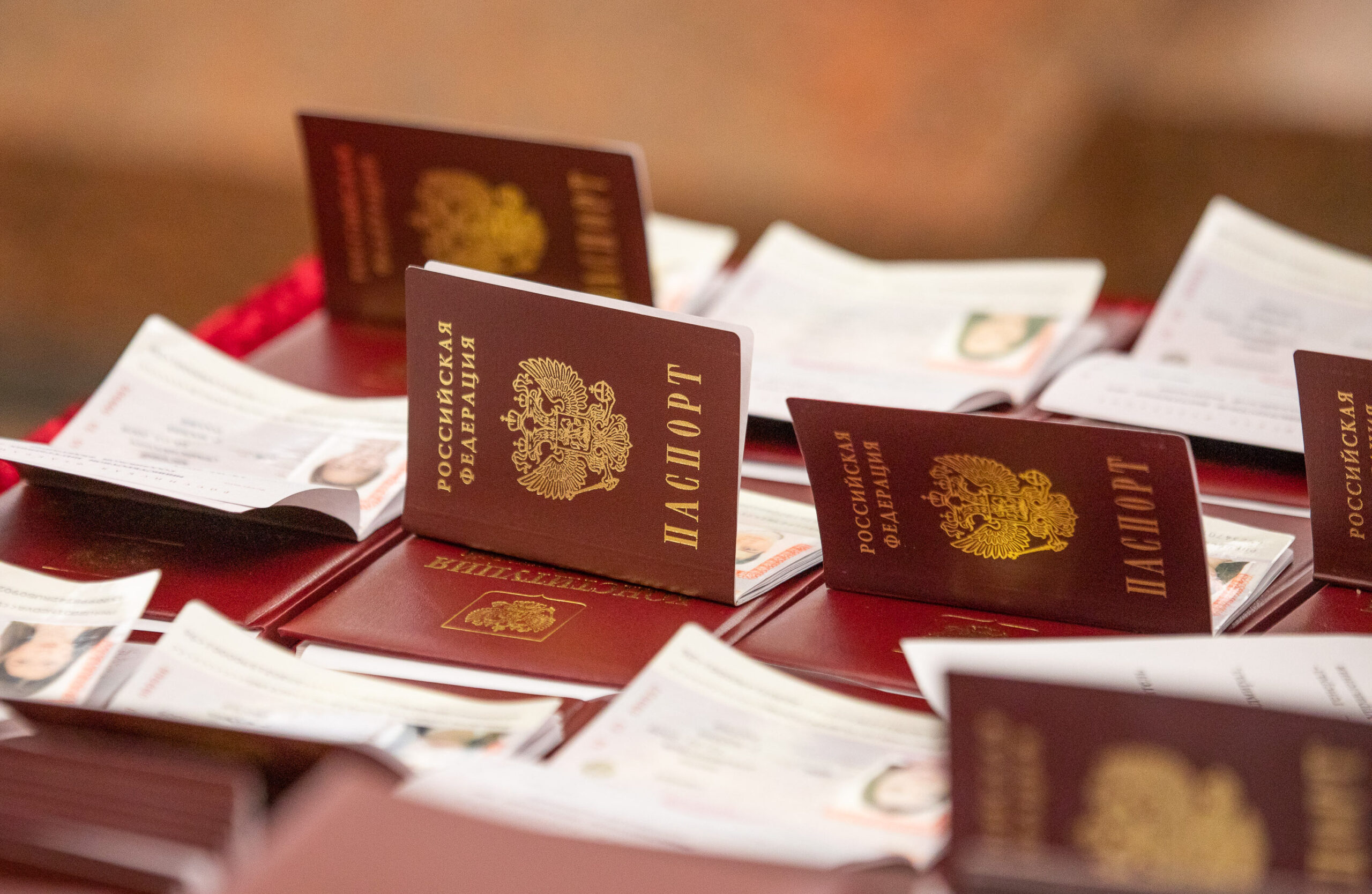 Паспорта РФ дополнят биометрическими данными  