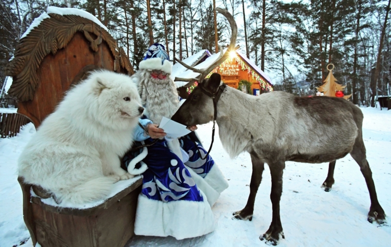 Россияне рассказали, как встретят Новый год