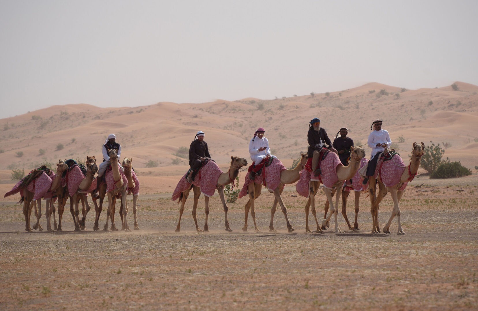 Российский путешественник пересек страну на верблюде