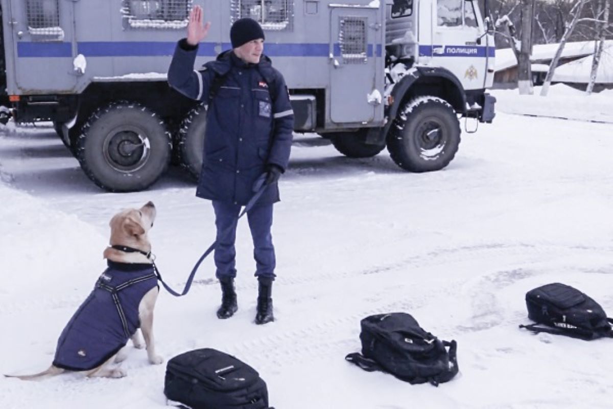 Кинологи и взрывотехники укрепили взаимодействие