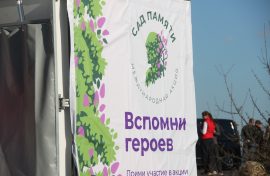 Клены вырастут в честь защитников Крыма