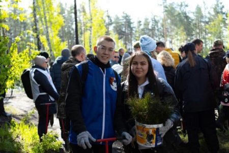 В память о защитниках вырастет сад