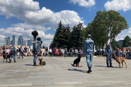 Полицейским выразили слова любви и восхищения