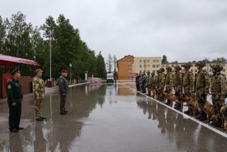 Заслуги педагогов вуза Росгвардии отмечены наградами