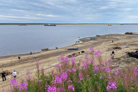 Одним из самых северных населенных пунктов страны занялись экологи