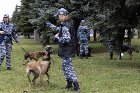 Гости парка познакомились с профессией кинолога