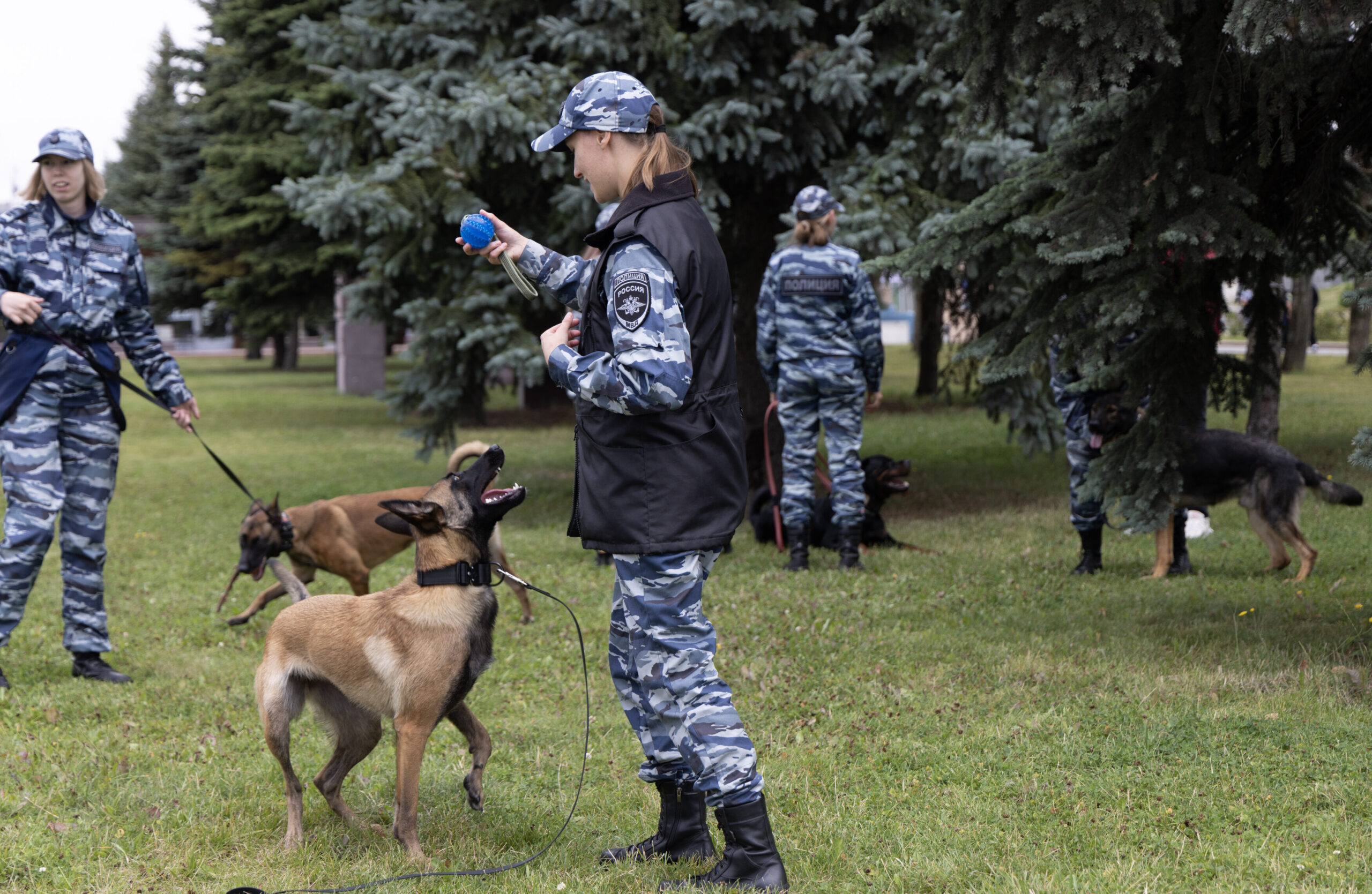 Гости парка познакомились с профессией кинолога