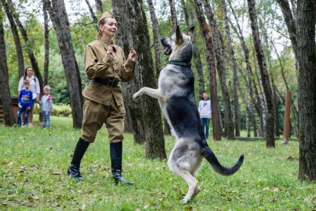 Кинологи покажут историческую реконструкцию