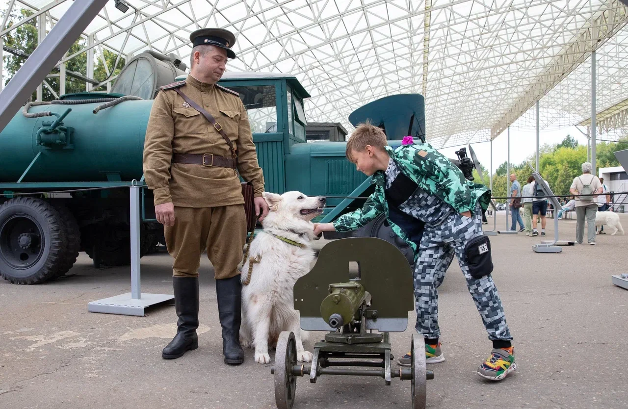 Служебным собакам посвятили фестиваль