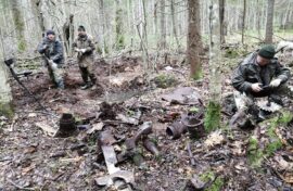 В новгородских лесах обнаружены самолеты