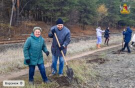 Деревья вырастут в честь ветерана