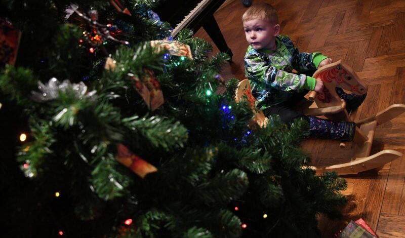 Раскрыты планы на новогоднюю ночь