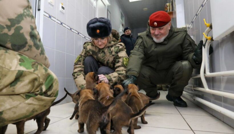 Работа кинологов и их четвероногих напарников получила высокую оценку