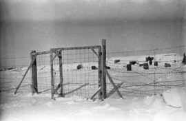 Историк представит книгу о концлагерях