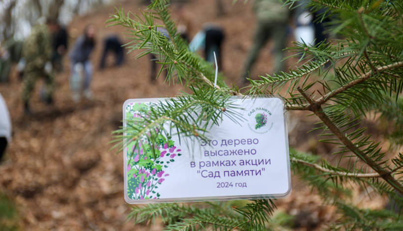 В честь защитников посадят деревья