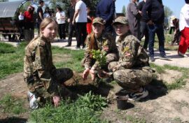 В память о земляках высадили деревья