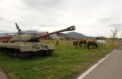 Учредили памятную медаль за победу над Японией