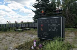 Эколята создадут природные обелиски памяти