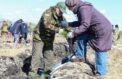 Живой памятник появится в честь Победы