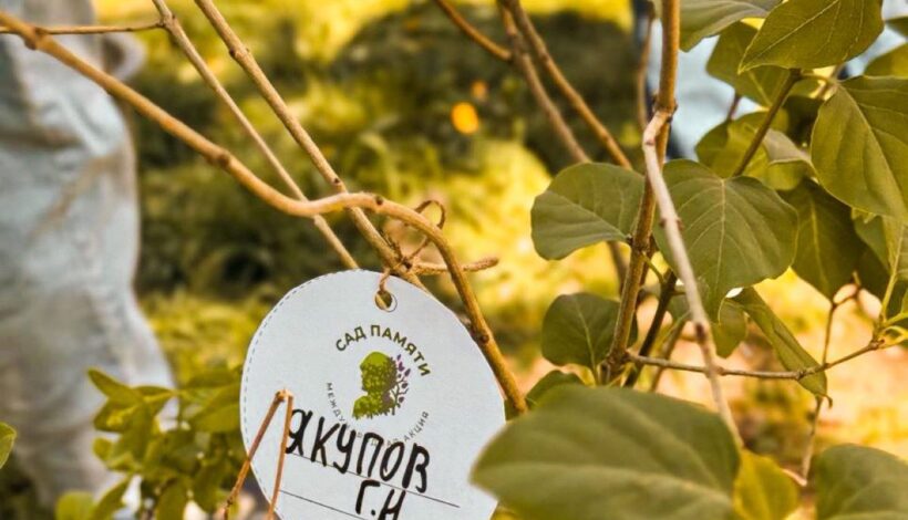 «Сад памяти» расцветет в Астрахани