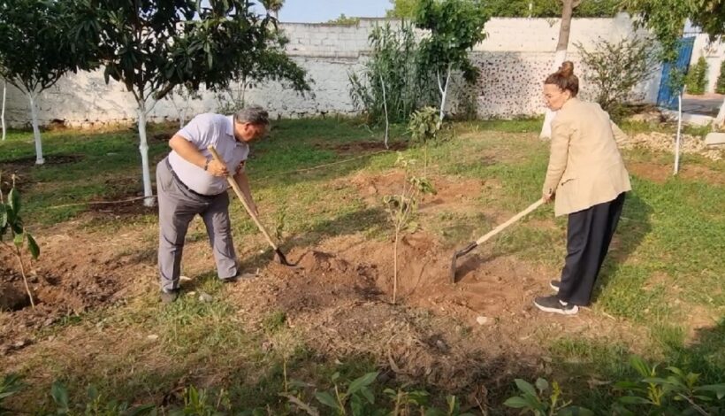 Деревья высадили в память о героях