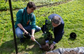 Юбилею Победы посвятили экологическую акцию