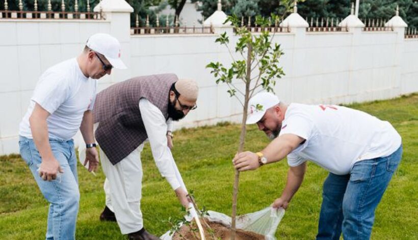 «Сад памяти» продолжает расти