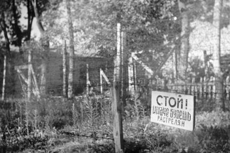 Данные о военнопленных систематизировали